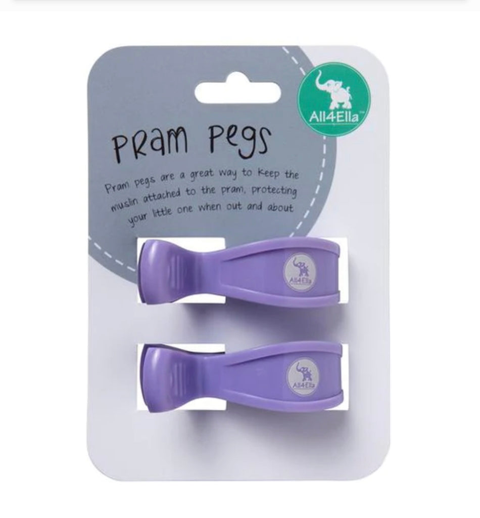 2 Pack Pram Pegs (Various)