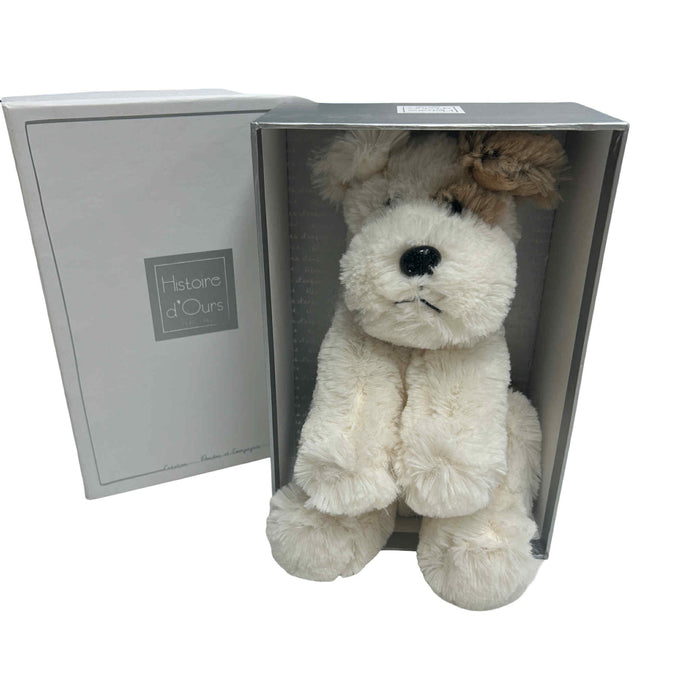 Histoire D’ours Chien Brownie Dog